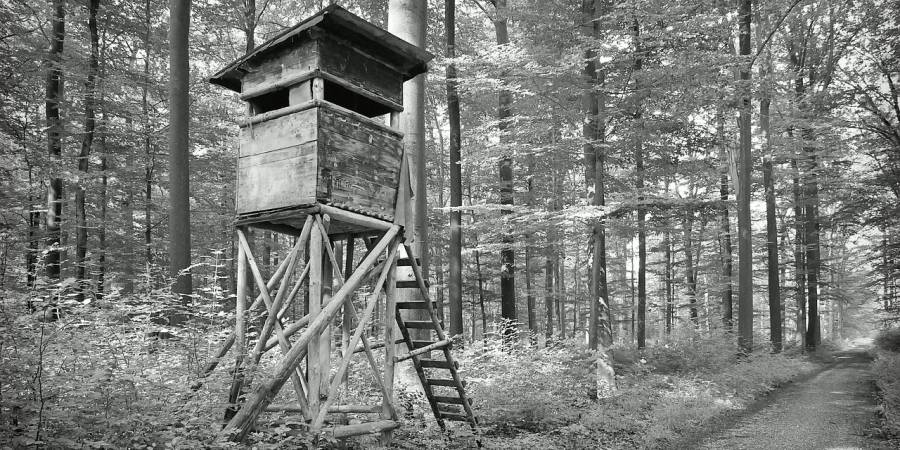 Hochsitz an einem Waldweg (Symbolbild: Pictavio)