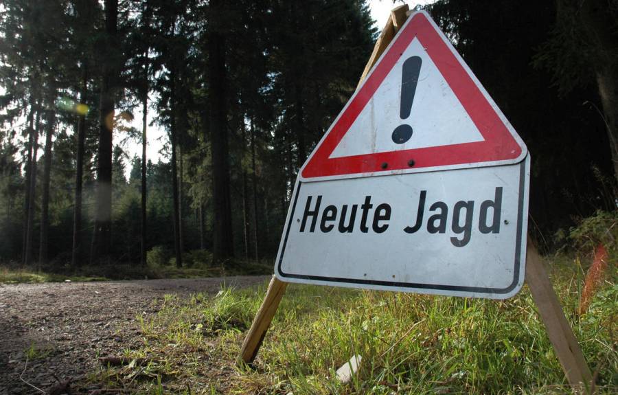 Zahl der Jagdunfälle erreicht 2021 einen Tiefstand. Sicherheit wird großgeschrieben. (Quelle: Grimm/DJV) 