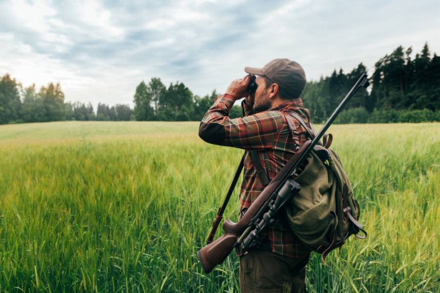 Die Verlängerung von Jagdscheinen ist auch im Landkreis Barnim wieder möglich. Behördenversagen ermöglichte der Unteren Jagdbehörde kein rechtssicheres Handeln. (Quelle: Canva/LJVB)