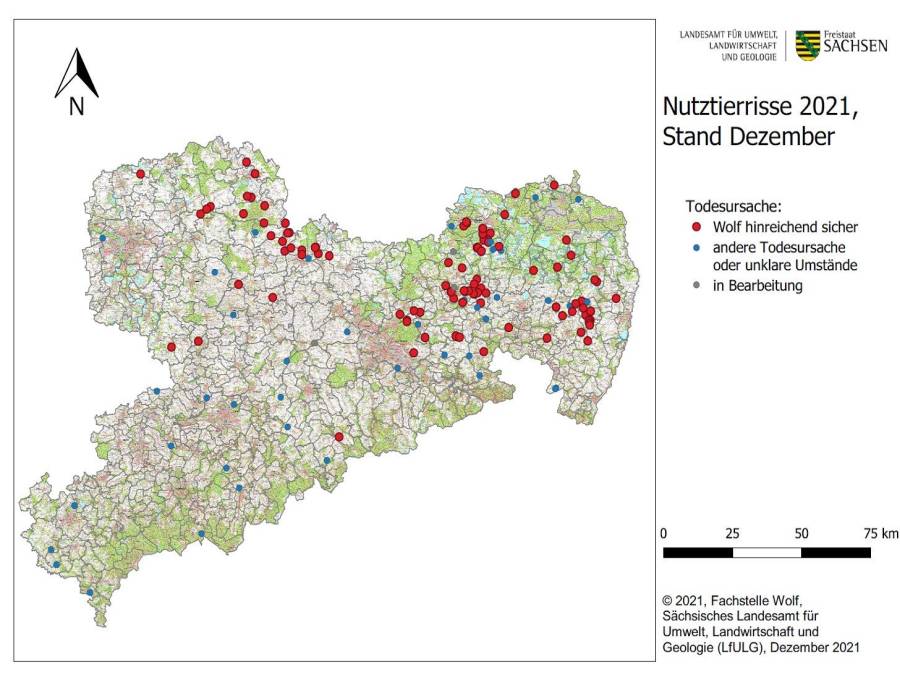 Karte der Rissereignisse im Jahr 2021 in Sachsen (Foto: LfULG / Fachstelle Wolf)