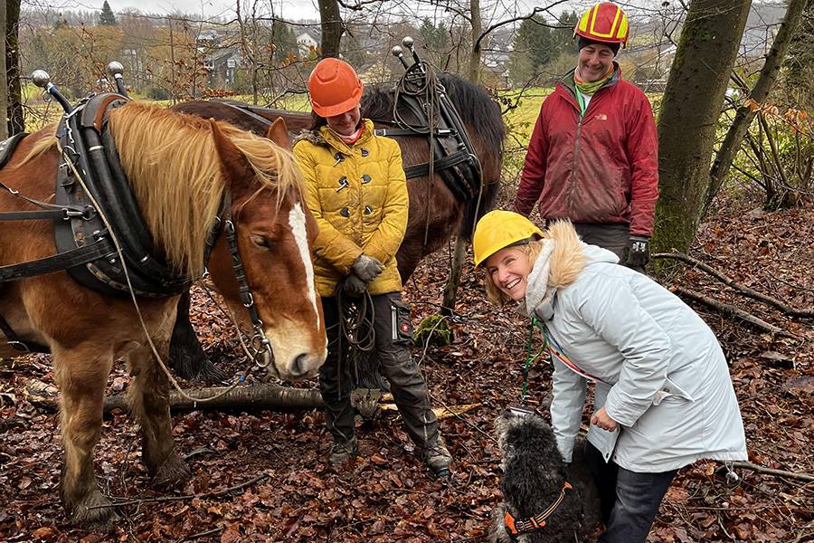 Klimaschutzministerin Katrin Eder mit Rückepferden im Wald (Foto: © MKUEM)