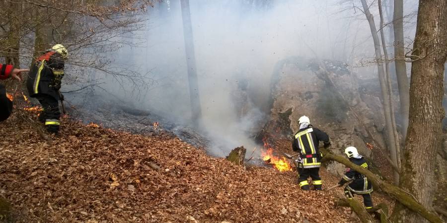 Feuerwehrmänner beim Löschen eines Waldbrandes (Foto: StMELF)