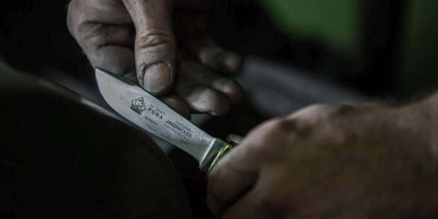 PUMA bietet durchdachte und langlebige Messer für den anspruchsvollen jagdlichen Einsatz. (Quelle: Holger H/PUMA GmbH IP/DJV)