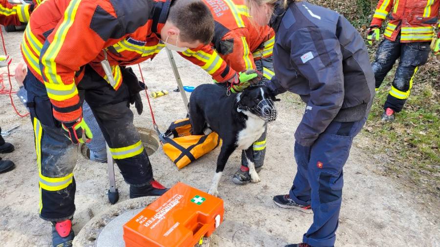 Nahezu unverletzt konnte der Hund seinem Herrchen wieder übergeben werden. (Foto: Feuerwehr Stockach)