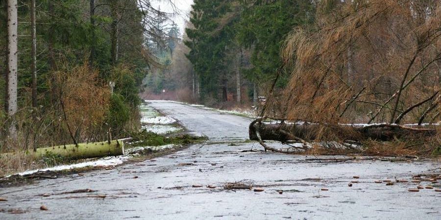 Versperrte Straßen durch umgekippte Bäume (Foto: Wald und Holz NRW, Stefan Befeld)