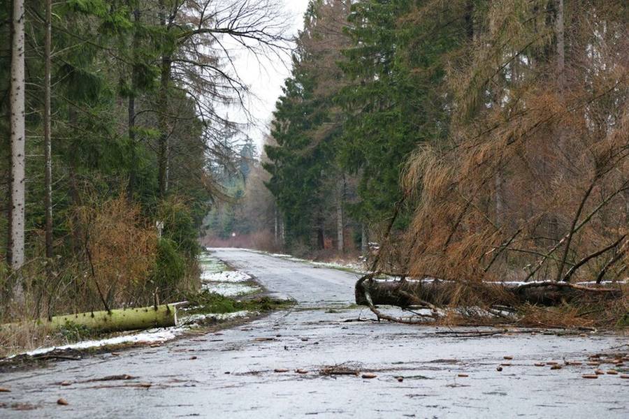 Versperrte Straßen durch umgekippte Bäume (Foto: Wald und Holz NRW, Stefan Befeld)