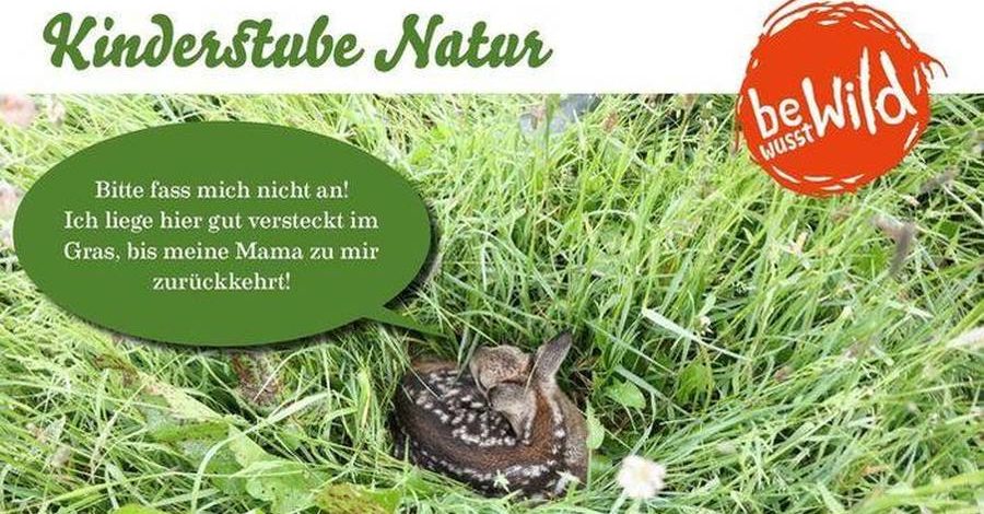 Ausschnitt Plakat Kinderstube Natur (Quelle: LJV BaWü)