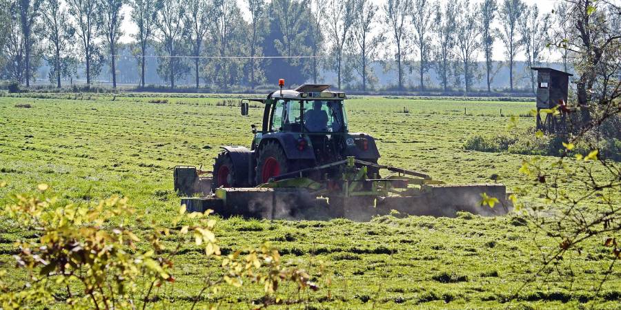 Ein Landwirt mäht eine Grünfläche im Münsterland (Symbolbild: Erich Westendarp)