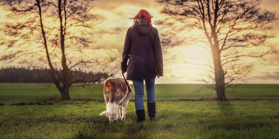 Eine Frau mit einem Hund an der Leine in der Natur (Symbolbild: Sven Lachmann)