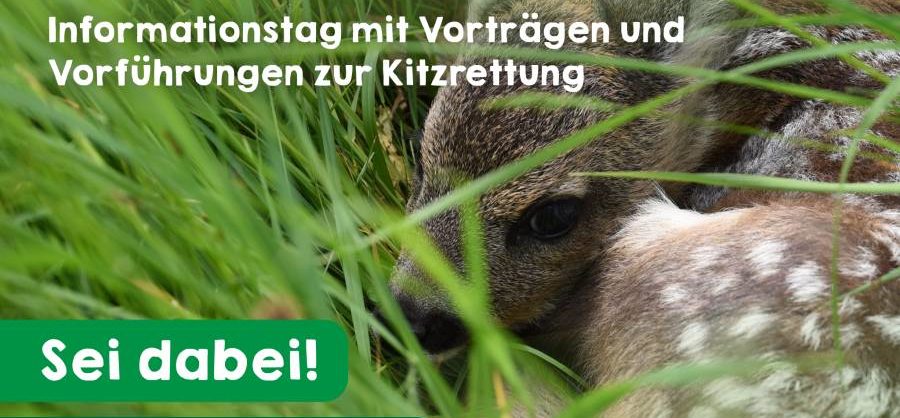 Quelle: Landesjagdverband Hessen e.V.