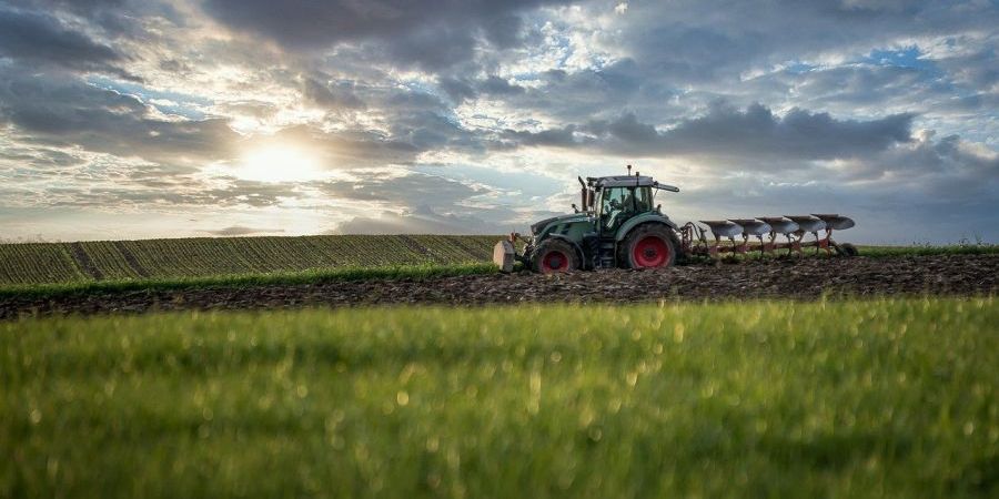 Landwirt beim Pflügen mit dem Traktor (Symbolbild: Franz Bachinger)