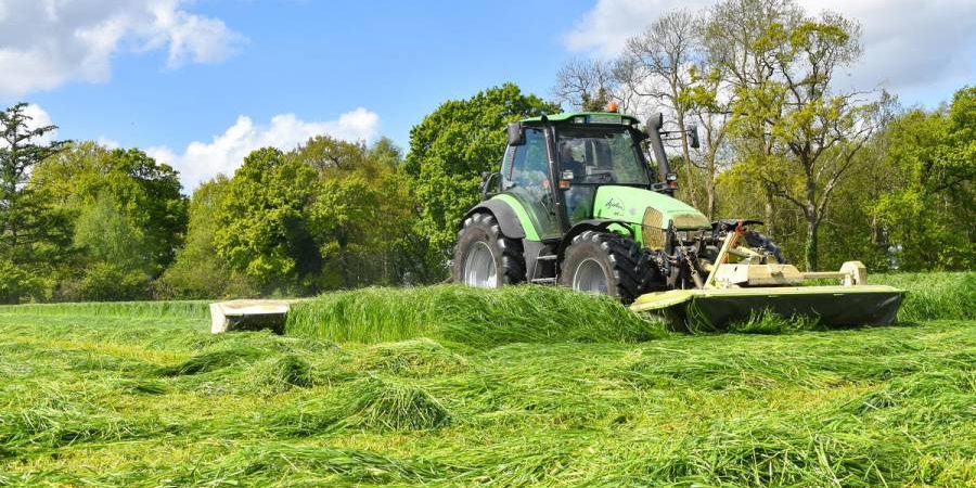 Wildtierschutz bei der Frühmahd: Verbände veröffentlichen Empfehlungen für Landwirte. (Quelle: Kapuhs/DJV)