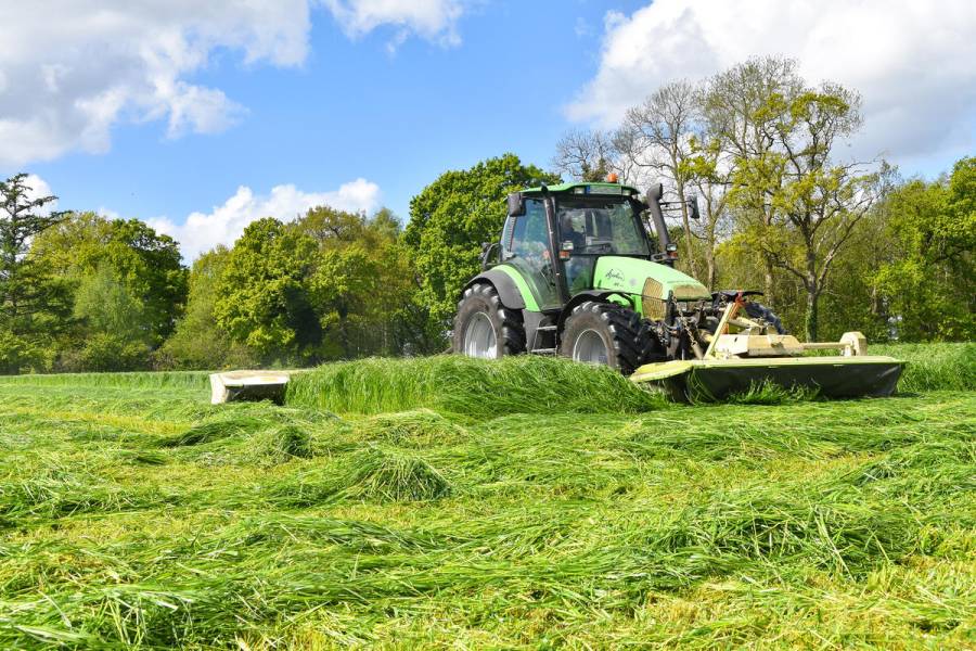 Wildtierschutz bei der Frühmahd: Verbände veröffentlichen Empfehlungen für Landwirte. (Quelle: Kapuhs/DJV)