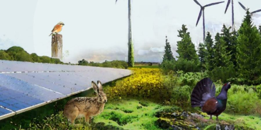 Ausschnitt des Plakats Wildtierforum Baden-Württemberg