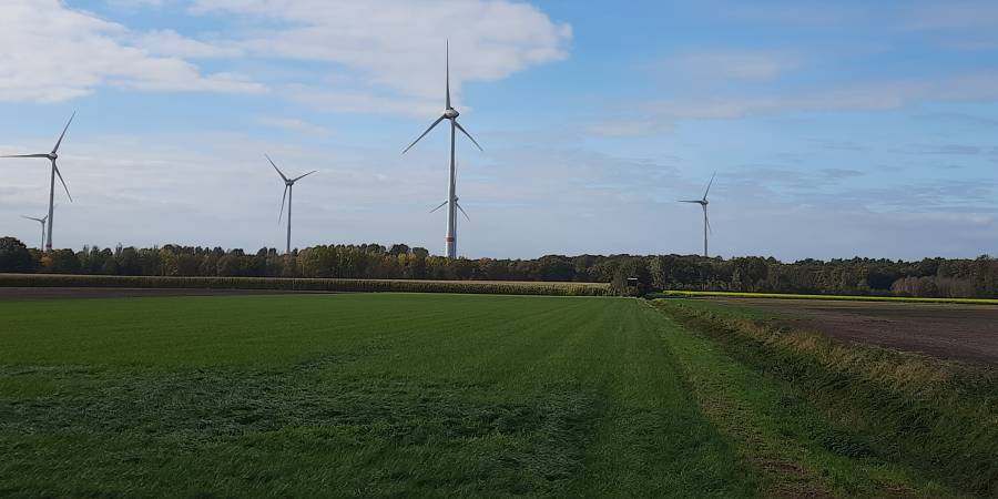 Windräder im Münsterland (Symbolbild: Marco Leinz)