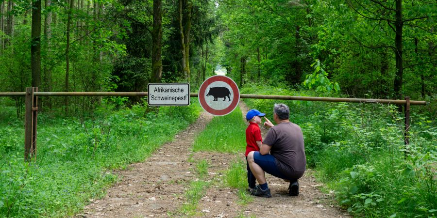 Vater mit Sohn vor einer Schranke im Wald, die Schilder mit Warnungen vor der Afrikanischen Schweinepest (ASP) trägt. (Symbolbild: gabort71)