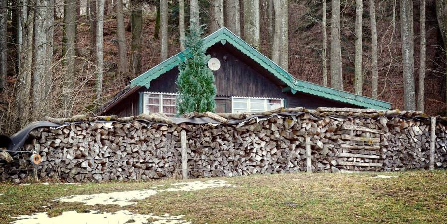 Hütte im Wald (Symbolbild: Manfred Antranias Zimmer)