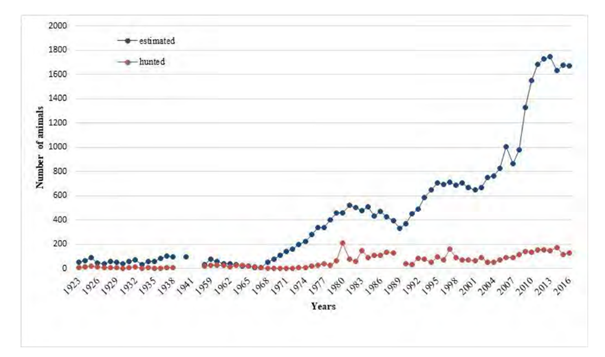 Abbildung 1: Populationsentwicklung des Luchses in Lettland – einschließlich der Fangrate (Quelle: Action Plan for Eurasian lynx (Lynx lynx) Conservation and Management)