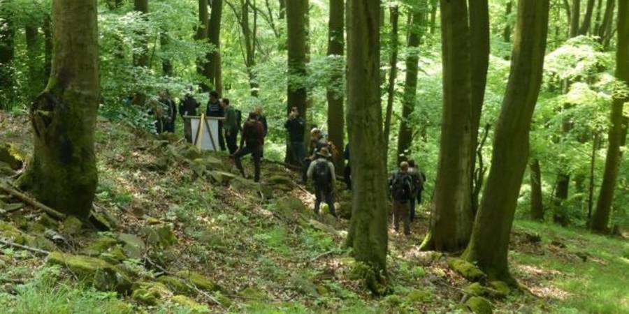 WissenschaftlerInnen diskutieren über die Effekte jahrzehntelanger Waldentwicklung ohne Holznutzung (Foto: Marlene Bömer, Wald und Holz NRW)
