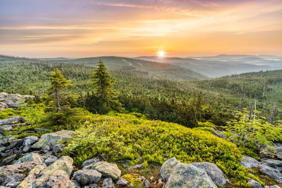 Der Bayerische Wald (Symbolbild: FelixMittermeier)