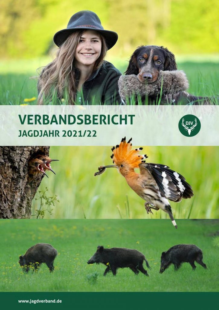 Der DJV hat jetzt seinen Verbandsbericht für das Jagdjahr 2021/22 (1. April bis 31. März) veröffentlicht. (Quelle: DJV)