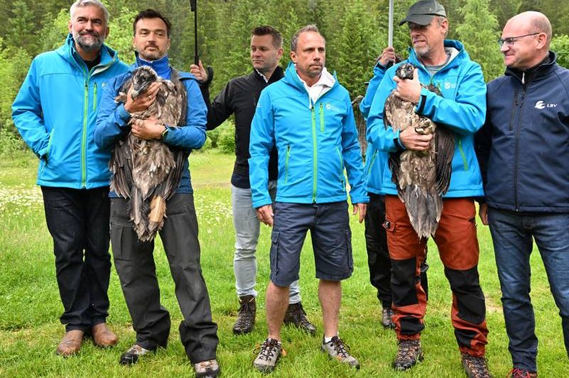 Roland Baier, David Schuhwerk mit Dagmar, Hans Pohlmann, Thorsten Glauber, Ulrich Brendel mit Recka, Norbert. (Foto: Landesbund für Vogelschutz in Bayern (LBV) e. V. / Hansruedi Weyrich)