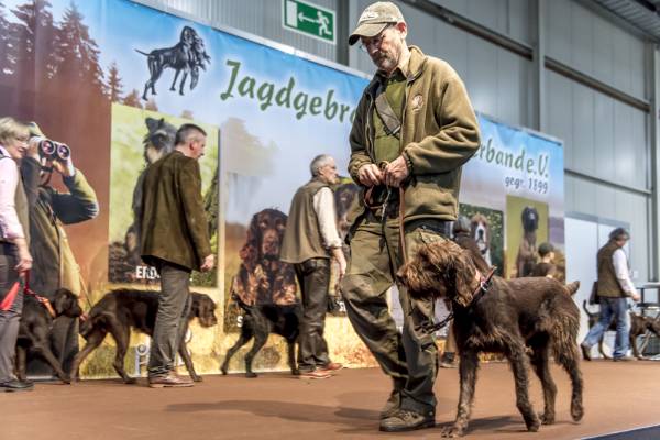 Hunde (Foto: Messe Dortmund/Wolfgang Helm)