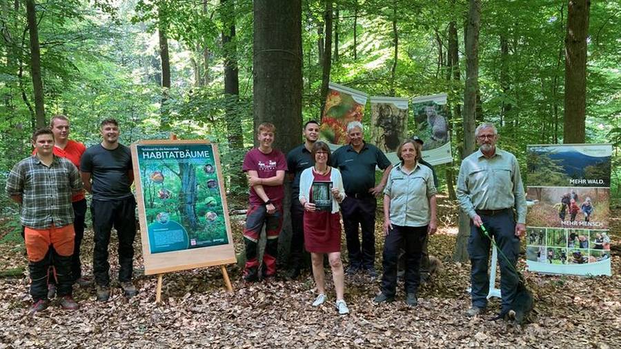 Umweltministerin Priska Hinz hat heute zusammen mit Stefan Nowack, Abteilungsleiter Waldentwicklung und Umwelt bei HessenForst im Staatswald bei Hofheim im Taunus die neue Naturschutzleitlinie für den Hessischen Staatswald vorgestellt. (Foto: © HMUKLV)