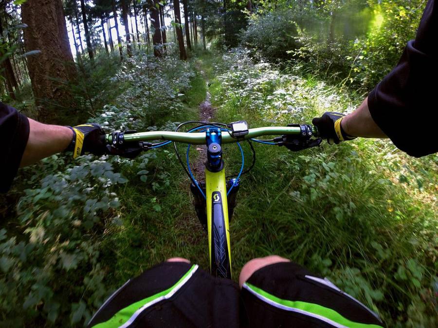 Ein Mountainbiker auf einer Abfahrt. (Symbolbild: Maurice Müller)