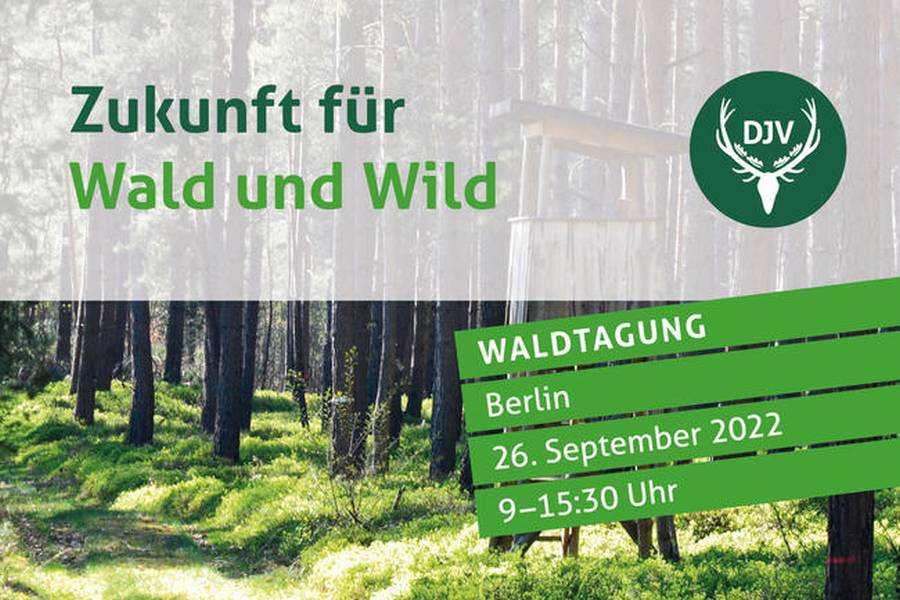 Ziel der Waldtagung 2022: Ansatzpunkte für eine konfliktfreie Forst- und Jagdnutzung schaffen. (Quelle: DJV)