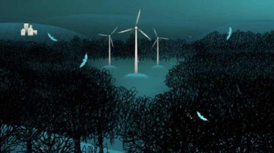 Fledermäuse an Windkraftanlagen. (Quelle: Screenshot Video/Leibniz-IZW)