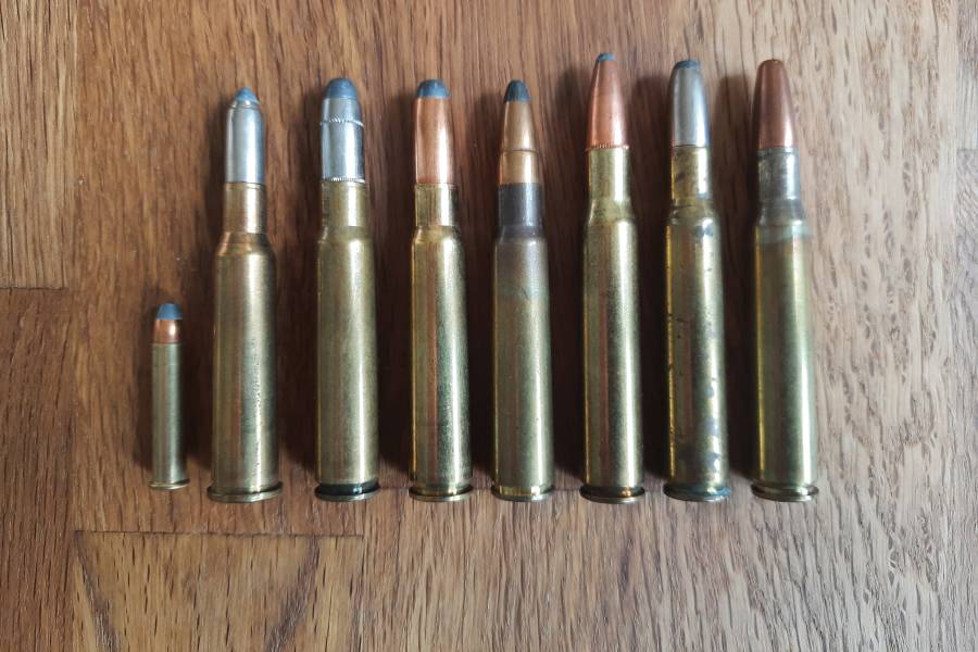 Bleihaltige Gewehrmunition in unterschiedlichen Kalibern und mit unterschiedlichen Geschossen. (Symbolbild: Marco Leinz)