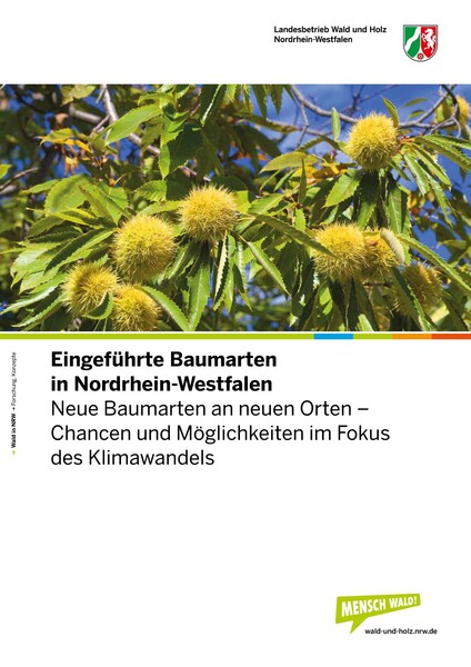 Stürme, Dürre und Borkenkäfer haben die Wälder Nordrhein-Westfalens in bisher unbekanntem Ausmaß zerstört. Nun steht großflächig die Wiederbewaldung mit Naturverjüngungen und Pflanzungen an. Rund ein Drittel der Wälder in NRW muss dringend zu klimastabilen Mischwäldern umgebaut werden. Aufgrund des Klimawandels wird erwartet, dass sich unsere Wälder in den nächsten Jahrzehnten grundlegend ändern. Doch welche Baumarten eignen sich unter den Vorzeichen des Klimawandels?Wenn sich das Klima wandelt, wandelt sich auch der Wald und deren Baumartenzusammensetzung und -kombination. Können sich die uns vertrauten Baumarten diesem Wandel anpassen, oder sind weitere, anpassungsfähige Baumarten notwendig, um die Wälder für die klimatische Zukunft fit zu machen?Mit der neuen Broschüre „Eingeführte Baumarten in NRW. Neue Baumarten an neuen Orten – Chancen und Möglichkeiten im Fokus des Klimawandels“ porträtiert Wald und Holz NRW sieben Nadel- und sieben Laubbaumarten aus anderen Regionen der Erde mit Blick auf ihre Eignung für unsere Wälder im Klimawandel. Die Idee dahinter: Baumarten aus wärmeren und trockeneren Gegenden kommen womöglich besser mit den hier zu erwartenden klimatischen Bedingungen klar als zum Beispiel die Fichte und könnten die heimischen Baumarten im Klimastress sinnvoll ergänzen.Die Publikation wendet sich an die forstliche Praxis und an alle Waldbesitzerinnen und Waldbesitzer, die vor der Zukunftsaufgabe stehen, resiliente Wälder im Klimawandel für die nachfolgenden Generationen zu schaffen. „Sie soll Orientierung und kompakte Informationen darüber geben, welche Baumarten im jeweiligen Wald waldbauliches Potenzial bieten, ohne das heimische Ökosystem zu gefährden“, betont Dr. Bertram Leder, Leiter des Zentrums für Wald und Holzwirtschaft in Arnsberg.Neben in Nordrhein-Westfalen bereits verbreiteten Baumarten wie Douglasie, Japanischer Lärche und Roteiche rückt die im Zentrum für Wald und Holzwirtschaft von Wald und Holz NRW erarbeitete Broschüre auch in unseren Wäldern weit seltenere Laubbaumarten wie Esskastanie, Walnuss, Baumhasel, Schwarznuss, Lindenblättrige Birke sowie Nadelbaumarten wie Weißtanne, Große Küstentanne, Riesenlebensbaum, Atlaszeder, Libanonzeder und Schwarzkiefer in den Vordergrund. Für jede Baumart informiert die Publikation systematisch über ihre Eigenschaften, Ansprüche, das waldbauliche Vorgehen, gesetzliche Voraussetzungen sowie die Verwendbarkeit des jeweiligen Holzes.Zugrunde liegt, ganz im Sinne des Waldbaukonzepts NRW, die Empfehlung, das waldbauliche Risiko in Zeiten der Klimaveränderung durch die Auswahl verschiedener standortgerechter Baumarten zu streuen. Neben der Förderung seltener heimischer Baumarten sollen laut Waldbaukonzept NRW die eingeführten Baumarten die heimischen Waldbaumarten nicht ersetzen! Die mischungsweise Einbringung von eingeführten Baumarten verbessert die Chancen, Wälder in den nicht absehbaren klimatischen Verhältnissen künftiger Generationen zu erhalten und die Anpassungsfähigkeit unserer Wälder im Klimastress zu erhöhenDie Broschüre ist erhältlich als kompakter, kleinformatiger Praxisleitfaden, wie auch in einer 88-seitigen Langfassung im DIN-A4-Format. Beide Versionen stehen unter www.wald.nrw/publikationen und hier unter dem Artikel zum Herunterladen bereit.Der Praxisleitfaden liegt zudem in gedruckter Form vor und kann – wie auch die früheren Praxisleitfäden von Wald und Holz NRW – an selber Stelle im Internet oder per E-Mail an: publikationen@wald-und-holz.nrw.de bestellt werden. Zum Herunterladen Eingeführte Baumarten - Praxisleitfaden Eingeführte Baumarten - Langversion Quelle: Wald und Holz NRW