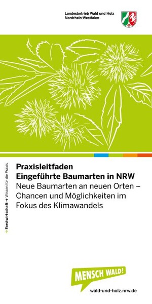 Titel Eingeführte Baumarten – Praxisleitfaden (Quelle: Wald und Holz)