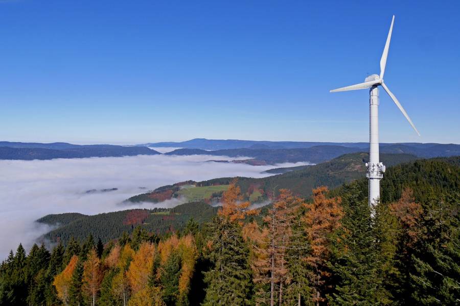 Windrad im Schwarzwald (Symbolbild: Herbert Bieser)
