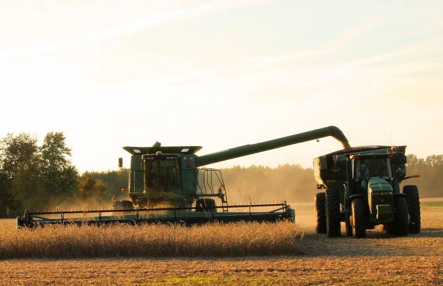 Mähdrescher mit Traktor bei der Ernte. (Symbolbild: CJ)