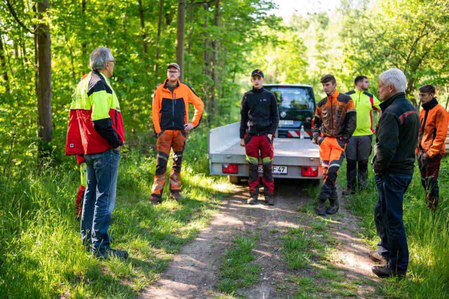 Die Niedersächsischen Landesforsten haben im Forstamt Liebenburg eine Beweidung mit Eseln geplant und die Vorbereitungen für das Naturschutzprojekt mit Forstwirtsauszubildenden durchgeführt. (Foto: Nds. Landesforsten)