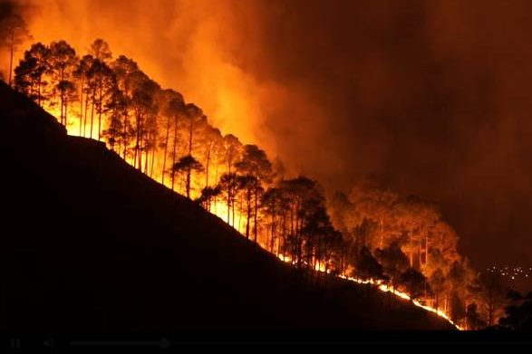 Heiße Zeiten: Europas Waldbrände