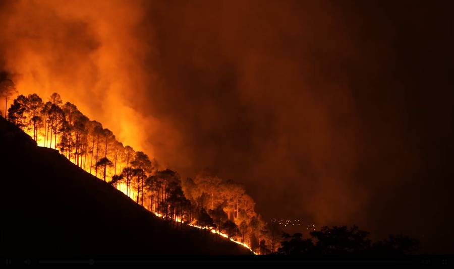 Bedingt durch den Klimawandel entstehen aktuell Brände von hoher Intensität so weit im Norden wie nie zuvor. (Foto: FirEUrisk)