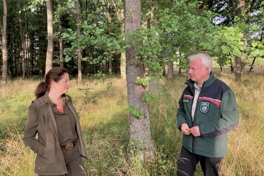 Nicole Heitzig und Thomas Kämmerling arbeiten an dem gemeinsamen Ziel vitaler Wälder und gesunder Wildbestände. (Foto: Ina Henneböhle, Wald und Holz NRW)
