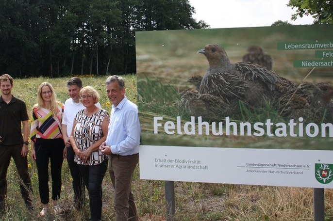 Rebhuhnschutz in Niedersachsen