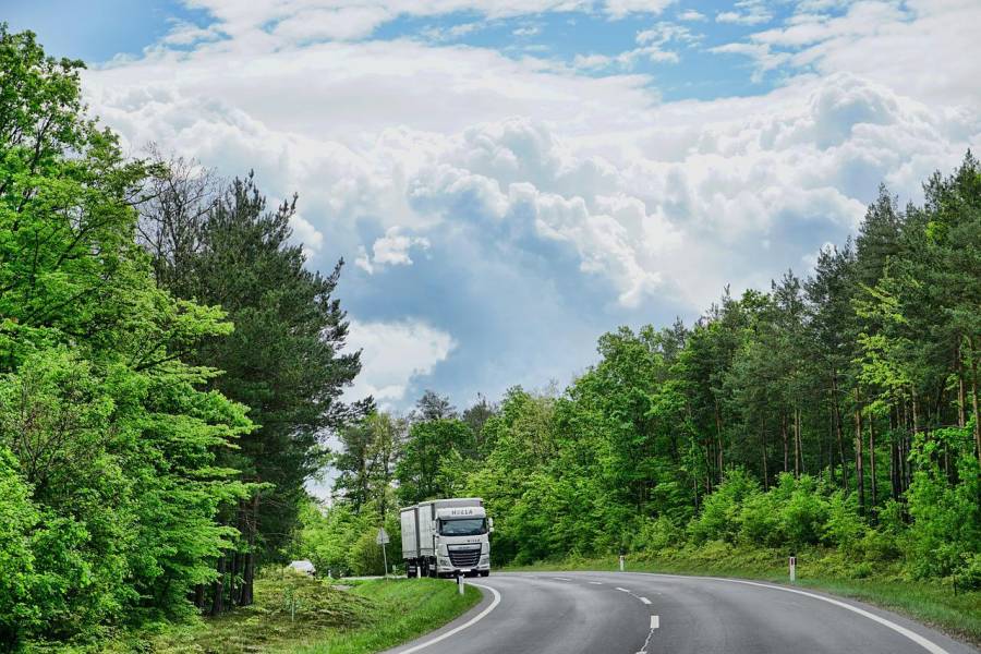 Ein Lkw auf einer Straße durch einen Wald. (Symbolbild: Sabine)