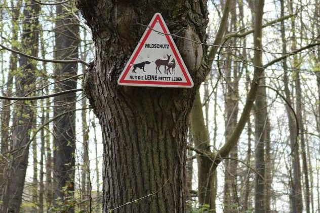 Warnschild mit der Aufschrift „Wildschutz – Nur die Leine rettet Leben“ an einem Baum. (Symbolbild: Christian Storb)