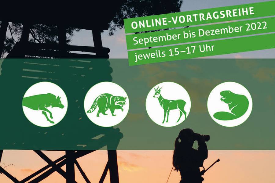 Fortsetzung der Online-Vortragsreihe Wildtiere und Mensch (Quelle: Rothe/DJV)