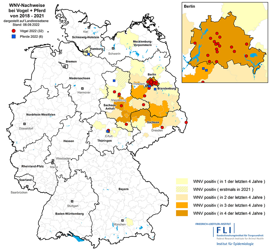 Karte: Nachgewiesene Fälle von Infektionen mit West-Nil-Virus bei Vogel und Pferd, Stand 08.09.2022 (© FLI)