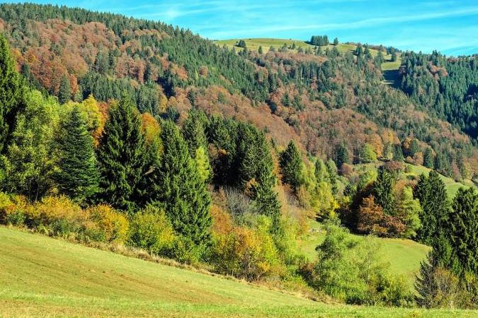 Schwarzwald im Herbst. (Symbolbild: Couleur)