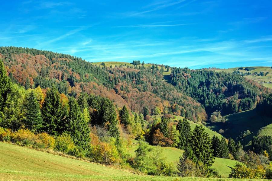 Schwarzwald im Herbst. (Symbolbild: Couleur)