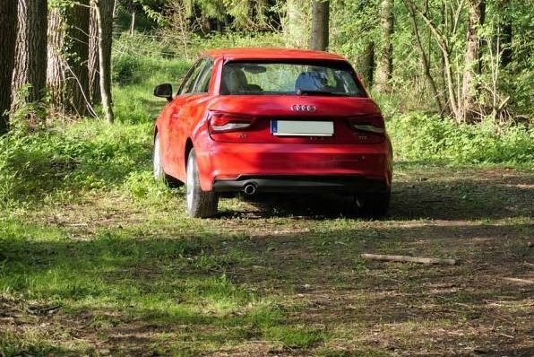 Jagdaufseher von Wilderern fast umgefahren