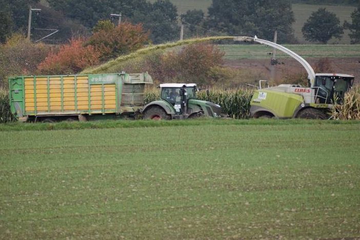 Erntejagd: Jäger trifft versehentlich Maishäcksler