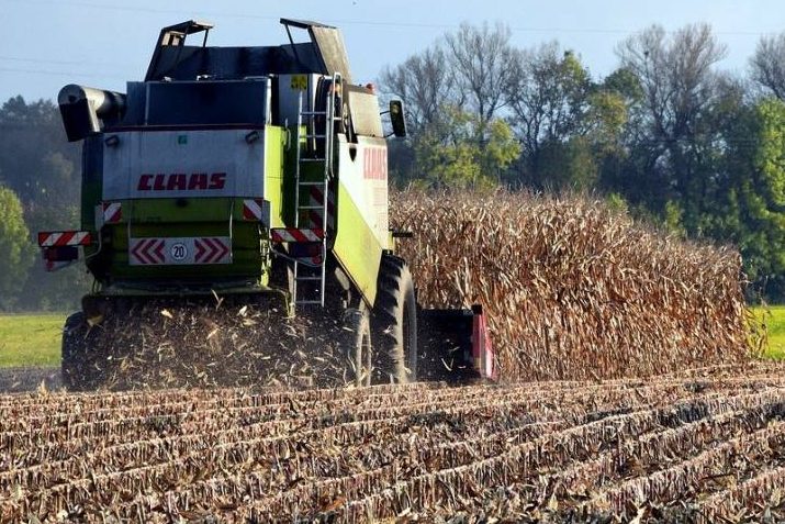 Backhaus mahnt zur Vorsicht bei Erntejagden
